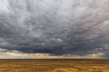 Kyzylkum Çölü manzarası, Özbekistan