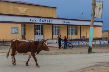 MUYNAQ, UZBEKISTAN - 22 Nisan 2018: Moynaq (Moynoq veya Muynak), Özbekistan.