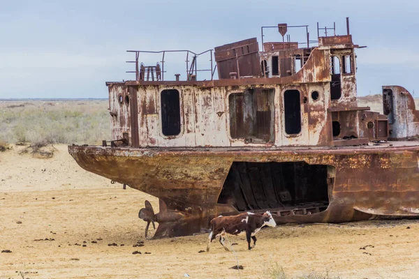 Roestig Verlaten Schip Scheepsbegraafplaats Aan Voormalige Aralzeekust Moynaq Moynoq Muynak — Stockfoto
