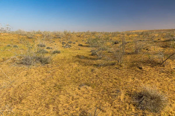 Вид Каракумскую Пустыню Туркменистане — стоковое фото