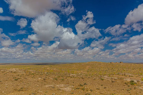 Landschap Van Kyzylkum Woestijn Oezbekistan — Stockfoto