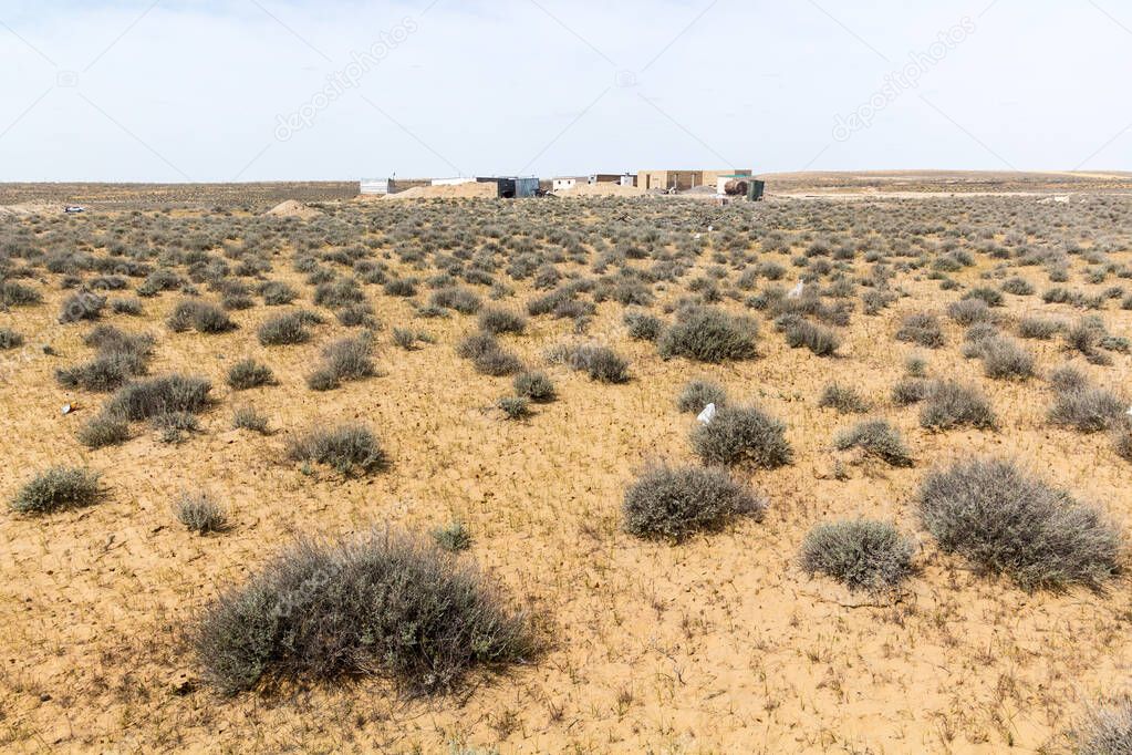 Houses in Karakum desert in Turkmenistan