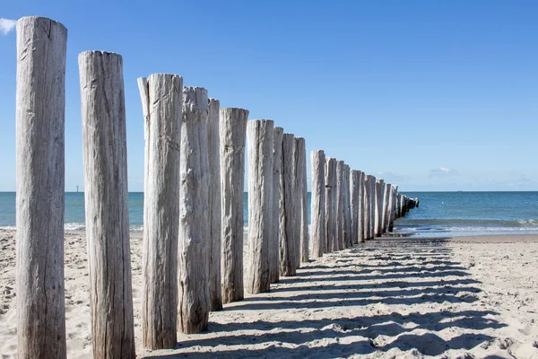 wooden breakwater at north sea beach