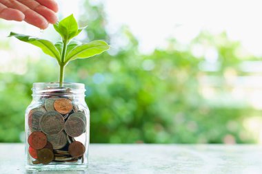 El kopya alanı iş ve finansal büyüme kavramı için bulanık yeşil doğal zemin üzerine gelen paralar cam kavanoz içinde büyüyen bitki sulama