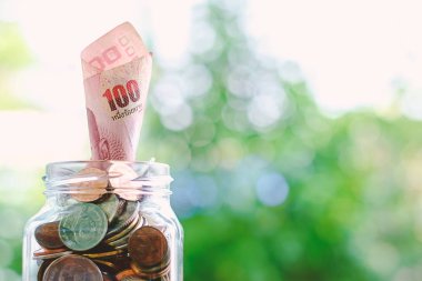 Banknot, camdan büyüyen 100 Baht Tayland para para ja