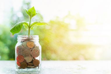 Cam Kavanoz içinde paralar üzerinden büyüyen bitki püskürtme su