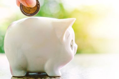 Kumbara içine bozuk para tasarrufu el yeşil doğal geri bulanık