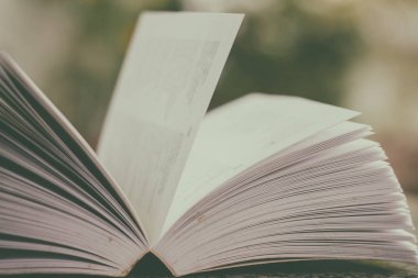 Seçici odak bulanık doğal yeşil backgrou açılan kitap