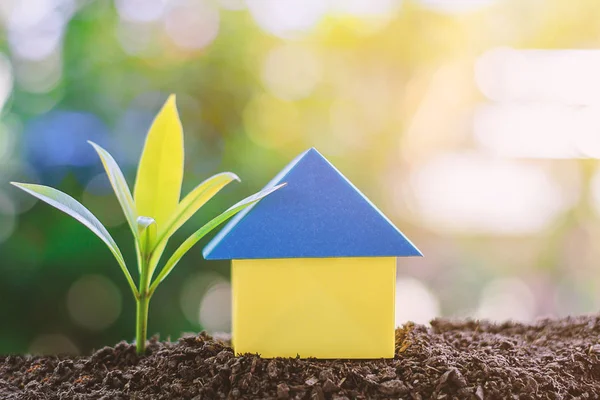 Papier huis origami en plant groeit uit bodem tegen wazig — Stockfoto