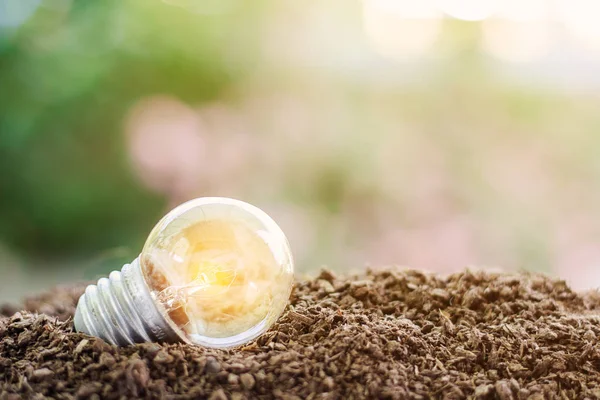 Светящаяся лампочка на почве против размытой естественной зеленой бэкгро — стоковое фото
