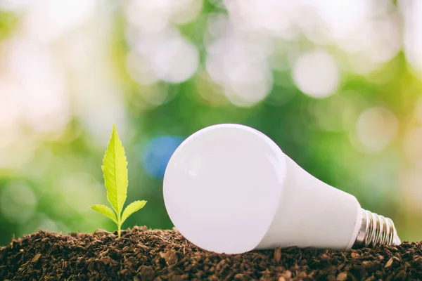 LED light bulb with small plant growing from soil — Stock Photo, Image