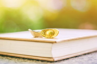 Çin altın ve gümüş sycee veya yuanbao tekne külçe ilgili bir kitap