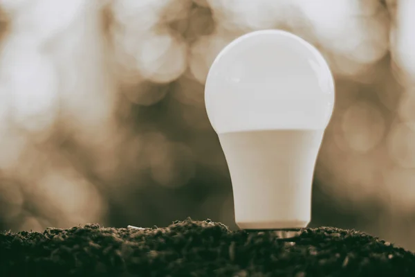 Светодиодная лампочка на почве для экономии энергии и окружающей среды — стоковое фото