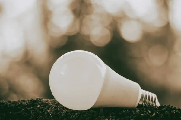 Светодиодная лампочка на почве для экономии энергии и окружающей среды — стоковое фото