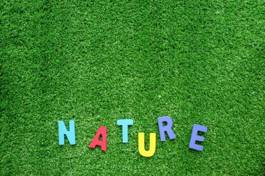 Doğa ahşap kelime plastik yapay yeşil çim backgro