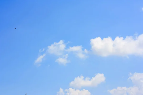 Fluffy cloud and small flying birds against blue sky background — Stock Photo, Image