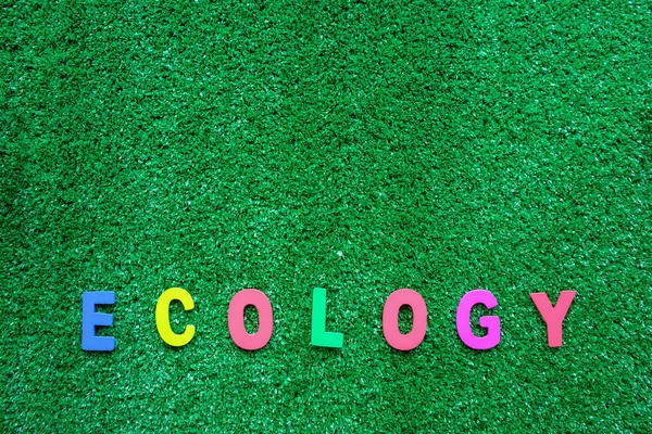 ECOLOGIA palavra de madeira no plástico grama verde artificial backgr — Fotografia de Stock