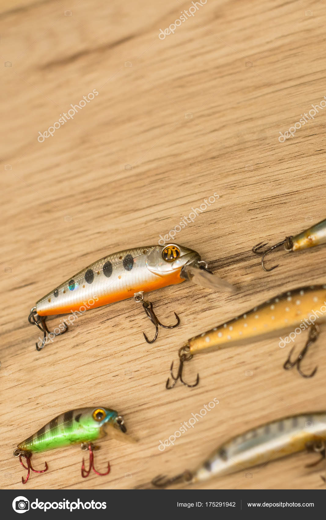 trout fishing rigs river