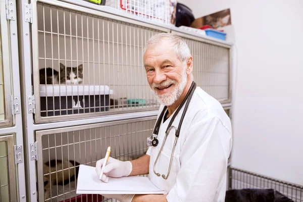 Senior vet filling in documents — Stock Photo, Image