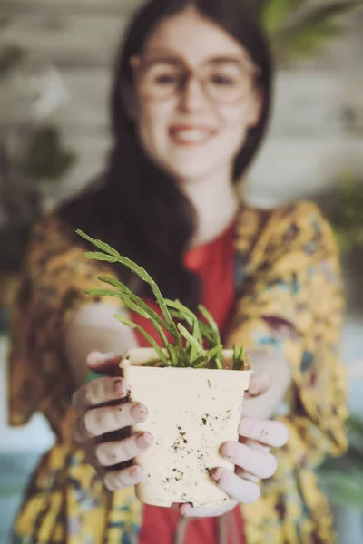 Woman holding freshly potted cactus — Stock Photo, Image