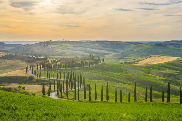 Baccoleno statek, Toskánsko — Stock fotografie