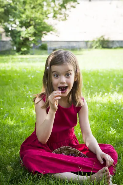 Menina sentado no prado e comer cerejas — Fotografia de Stock