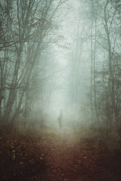 Man standing on forest path in fog