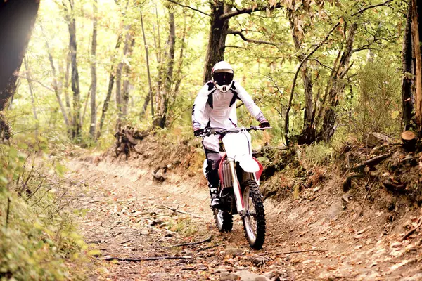 Biker motokros v lese — Stock fotografie