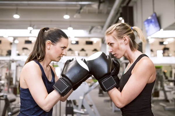 Mulheres boxe no ginásio — Fotografia de Stock