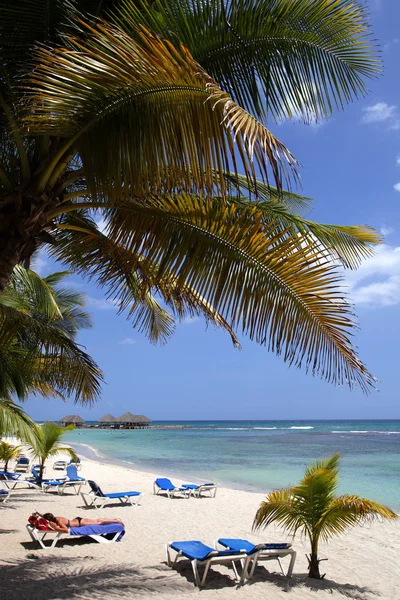 Caribbean Sea View Sandy Beach Palms Chairs — Stock Photo, Image