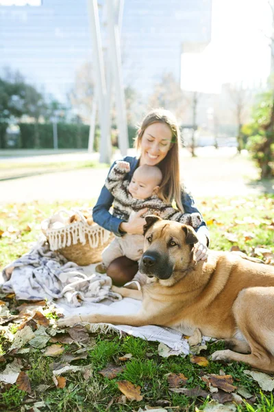 Портрет Молодой Женщины Сидящей Маленьким Мальчиком Собакой Одеяле Парке — стоковое фото