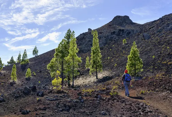 Espanha Ilhas Canárias Tenerife Mulher Trilha Caminhada — Fotografia de Stock