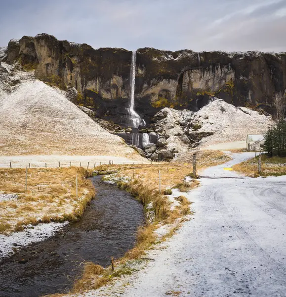 전형적인 아이슬란드 풍경과 Seljalandsfoss — 스톡 사진