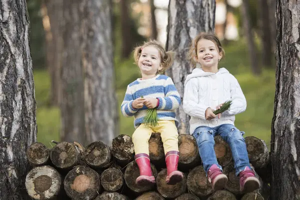 Zwei Lächelnde Mädchen Sitzen Auf Einem Holzstapel Wald — Stockfoto