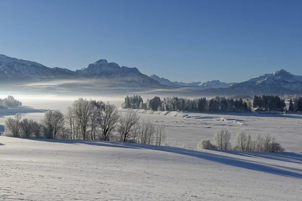Tyskland Bayern Illasberg Och Forggensee Vinter — Stockfoto