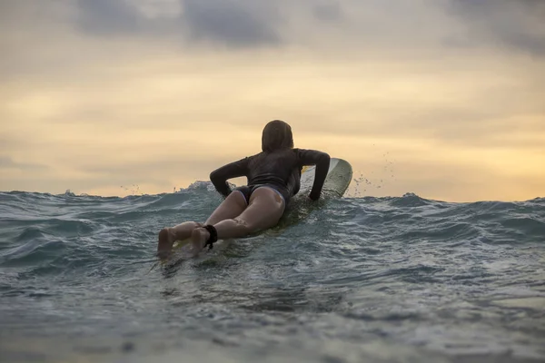 Női Szörfös Úszni Óceánban Naplemente — Stock Fotó
