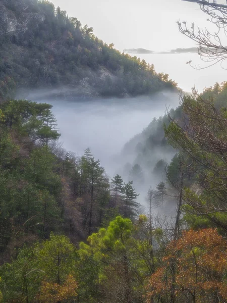 Italia Umbría Apeninos Bosque Con Colores Follaje Niebla — Foto de Stock