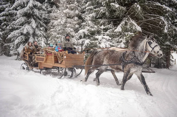 Família Desfrutando Passeio Trenó Puxado Por Cavalos Inverno — Fotografia de Stock