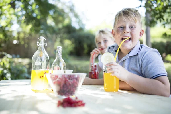 Soeur Frère Buvant Limonade Maison Table Jardin — Photo