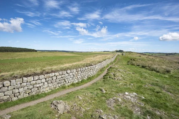 Northumberland Haltwhistle Hiking Trail Hadrian Wall — Stock Photo, Image