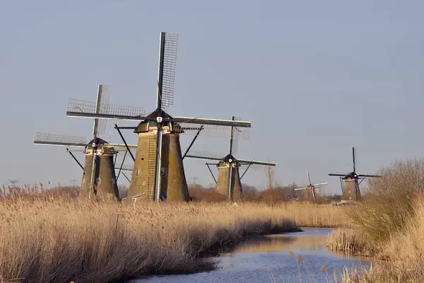 Windmills at a canal, Kinderdijk — Stock Photo, Image