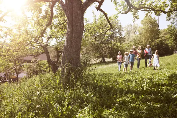 Extended Family Walking Picnic Basket Meadow — Stock Photo, Image