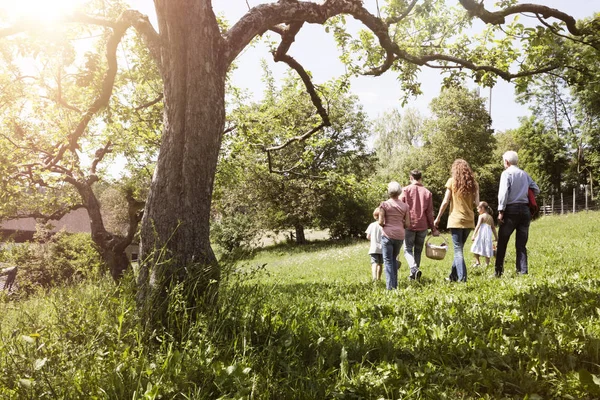 Wielopokoleniowej Rodziny Chodzenie Koszem Piknikowym Łące — Zdjęcie stockowe