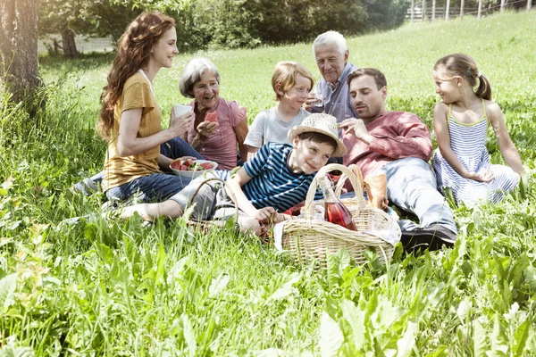 Família Estendida Fazendo Piquenique Prado — Fotografia de Stock