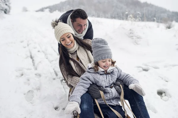 Szczęśliwa Rodzina Sanki Zimowy Krajobraz — Zdjęcie stockowe