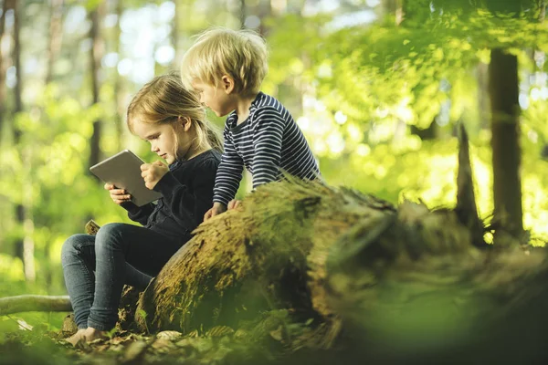 Geschwister Wald Mit Digitalem Tablet — Stockfoto