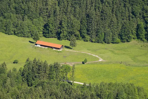 Німеччина Баварія Верхній Баварії Kochel Kohlleiten Alm — стокове фото