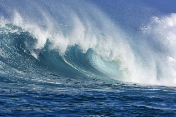 Big Wave Rip Curl Sunny Daylight — Stock Photo, Image