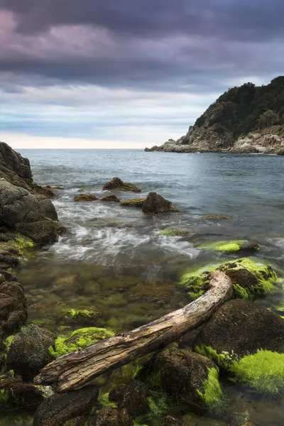 Spain Catalonia Coast Lloret Mar — Stock Photo, Image