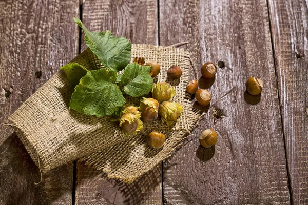Close View Hazelnuts Leaves Jute — Stock Photo, Image